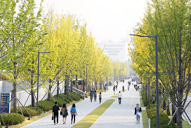 Khám phá Đại học Yonsei - Nền tảng Giáo dục Ưu Việt tại Hàn Quốc