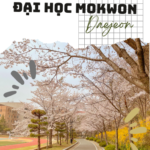 dai-hoc-tong-hop-mokwon-quang-canh 1