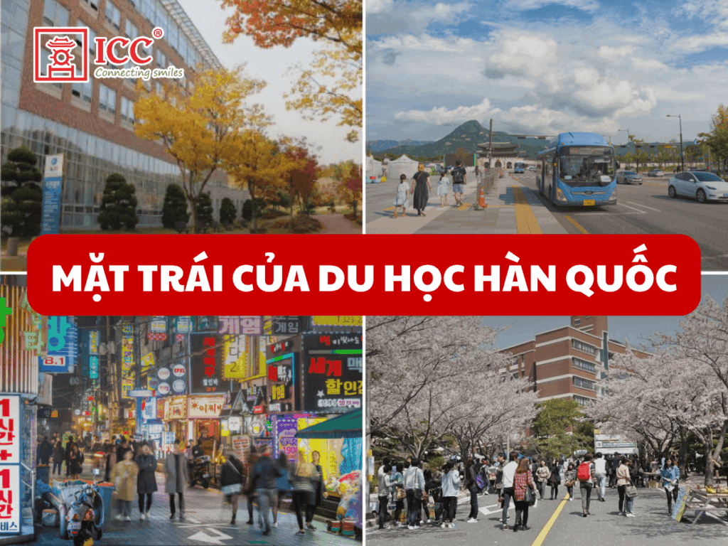 Mặt trái của du học Hàn Quốc: Thử thách và chuẩn bị