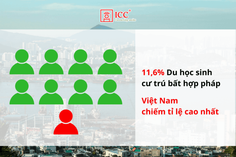 Tu-van-du-hoc-Han-Quoc-canh-bao-rui-ro-nguy-co-thuc-te-2