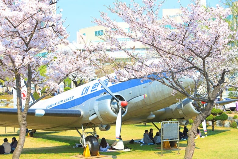 Canh-quan-khuon-vien-dai-hoc-Inha