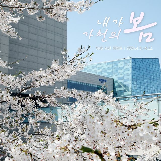 Dai-hoc-Gachon-mua-hoa-anh-dao-no