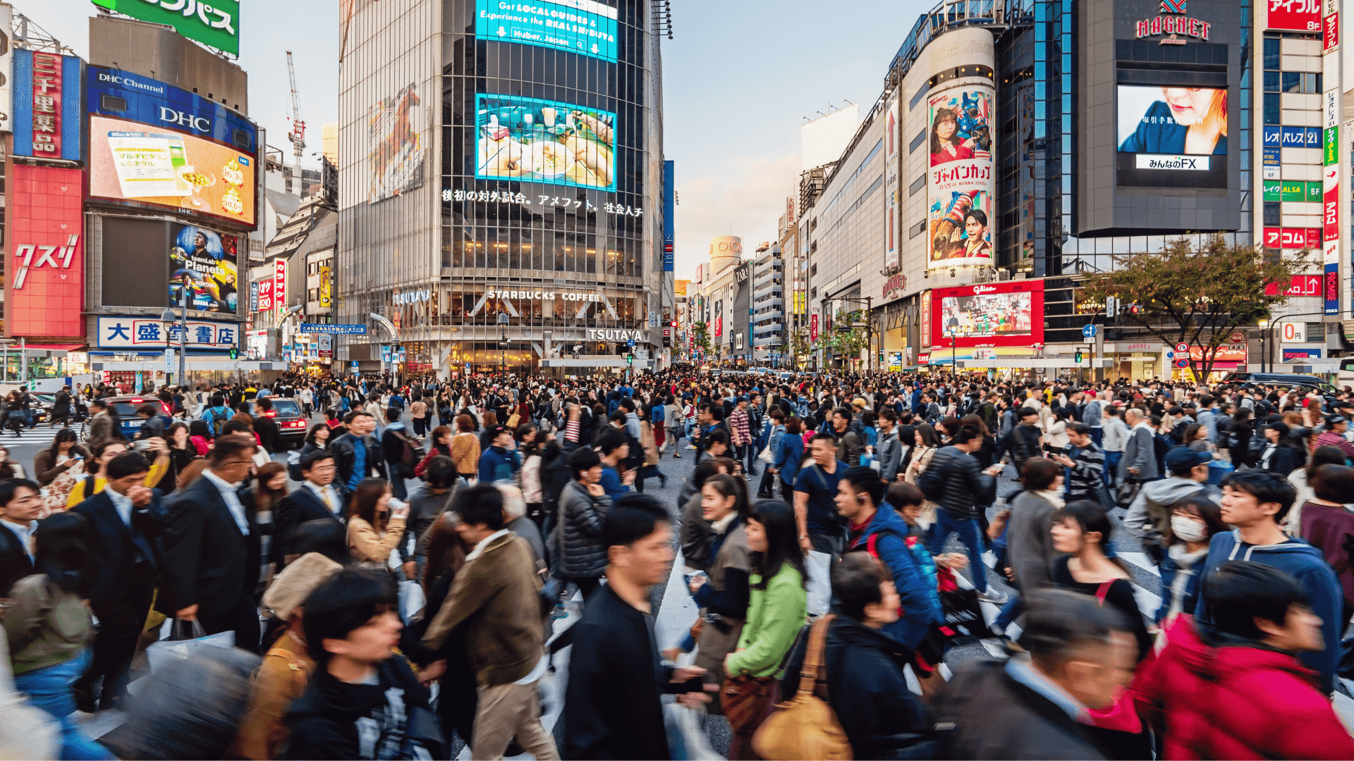 Lan-song-nhap-cu-ky-luc-vao-Nhat-Ban